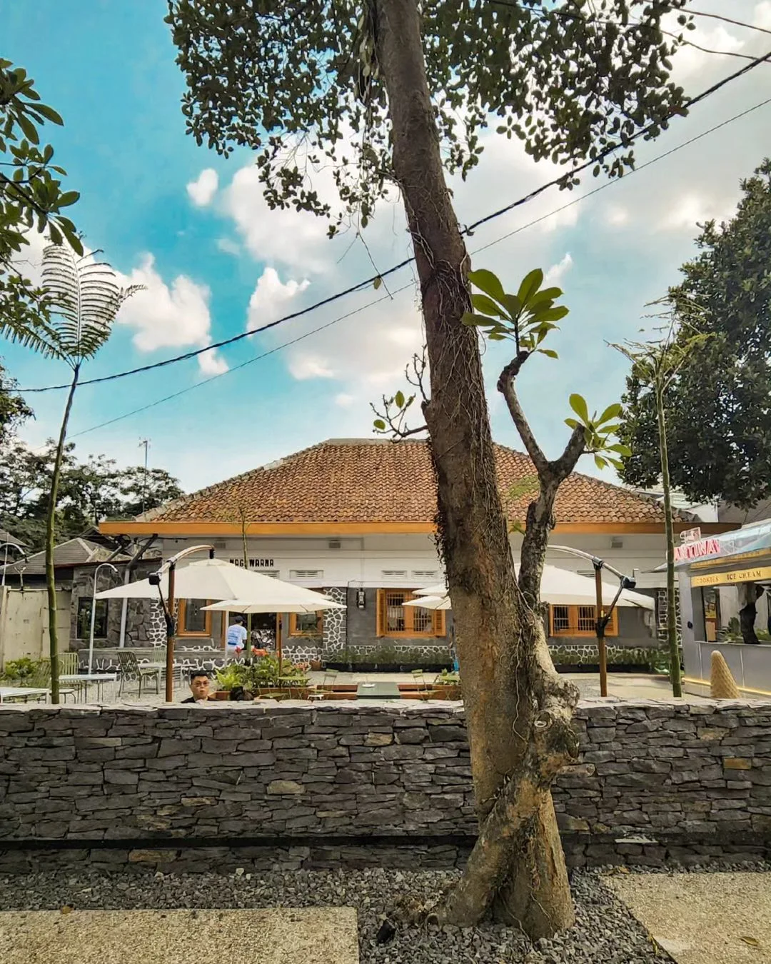 Kopi Toko Djawa Progo Daftar Menu & Lokasi Terbaru